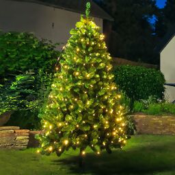 Weihnachtsbaum Netzbeleuchtung 