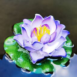 Deko-Seerose Lotus, violett 