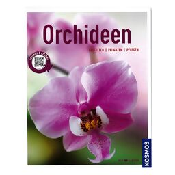 Orchideen Gestalten, pflanzen, pflegen 