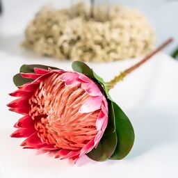 Kunstpflanze Protea, pink 
