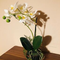 Kunstpflanze Orchidee Duo im Erdballen, weiß 