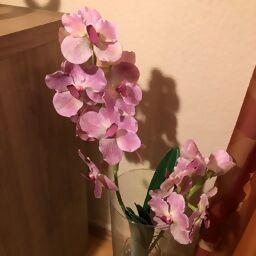 Kunstpflanze Orchidee Vanda, pink 
