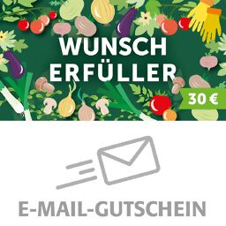 30,- Euro Online-Geschenk-Gutschein WUNSCH ERFÜLLER 