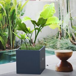 Garden Pflanzgefäß Cube, anthrazit, 50x50x50 cm 