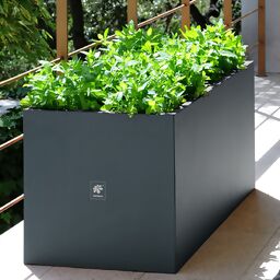 Garden Pflanzkasten, anthrazit, 100x50x50 cm 