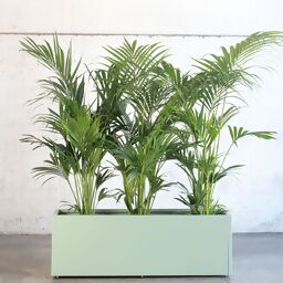 Garden Pflanzkasten, kaktusgrün, 150x50x50 cm 