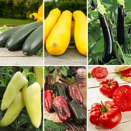 Gemüsepflanzen-Set Grillgemüse, 5 + 1 gratis 
