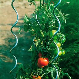 5er-Set Tomatenspiralstäbe, 110 cm 