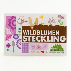 Steckling Wildblumensamen, 10 Stück 