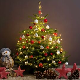 Weihnachtsbaum Nordmanntanne 175-200 cm, frisch geschlagen 