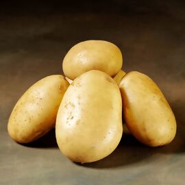 Kartoffel Folva 5 kg 
