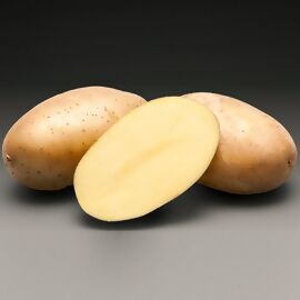 Kartoffel Aromata 5 kg 