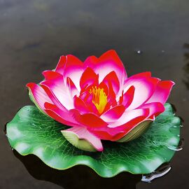 Deko-Seerose Lotus, pink 