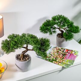 Kunstpflanze Bonsai, 2er-Set 