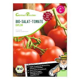 BIO Salat-Tomatensamen Diplom F1 