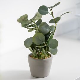 Kunstpflanze Eukalyptus im grauen Steintopf, 30 cm 