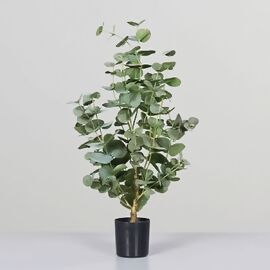Kunstpflanze Eukalyptus in schwarzem Kunststofftopf, 70 cm 