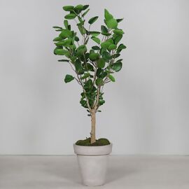 Kunstpflanze Aralie, 150 cm 