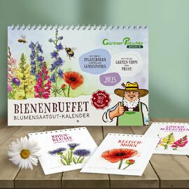 Einpflanzbarer Blumensaatgut-Kalender - Bienenbuffet 