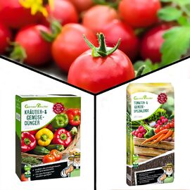 Jubel-Set Tomatensamen Gardeners Delight & Gemüse-Dünger, 2,5 kg & Spezialerde 20 l 