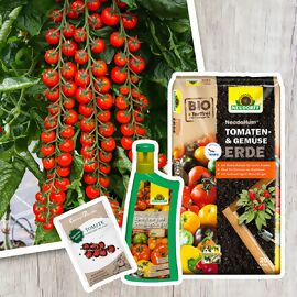 Set Tomatensamen Gardeners Delight & Gemüse-Dünger, 1 l & Spezialerde 20 l 