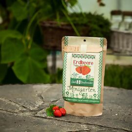 Minigarten - Erdbeere Tubby Red 