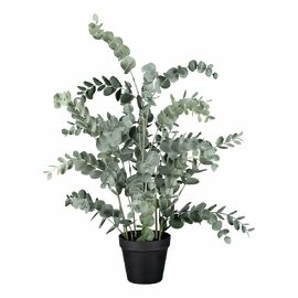 Kunstpflanze Eucalypthus, 67 cm 