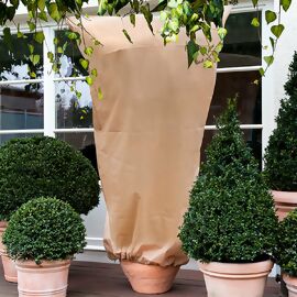 Kübelpflanzen-Sack 100x80 cm, 2er-Set, beige 