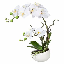 Kunstpflanze Phalaenopsis in Keramikschale, 42 cm, weiß 