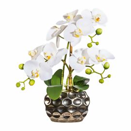 Kunstpflanze Phalaenopsis, in Keramikvase, 30 cm, weiss 