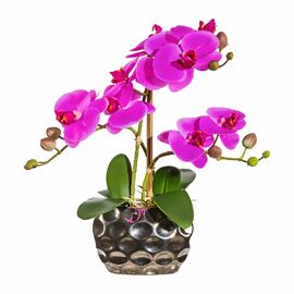 Kunstpflanze Phalaenopsis, in Keramikvase, 30 cm, lila 