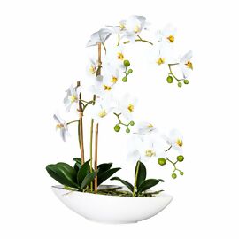 Kunstpflanze Phalaenopsis im Keramikschiff, 60 cm, weiss 