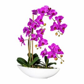 Kunstpflanze Phalaenopsis im Keramikschiff, 60 cm, lila 