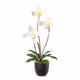 Kunstpflanze Orchidee Frauenschuh,  45 cm, cremegrün 