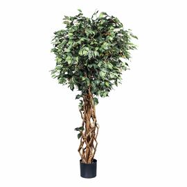 Kunstpflanze Ficus Benjamini, 180 cm, grün 