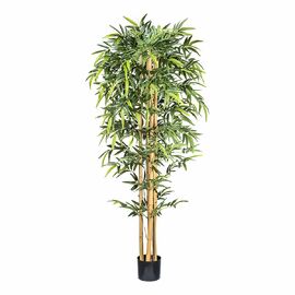 Kunstpflanze Bambus, 210 cm, Naturstamm 