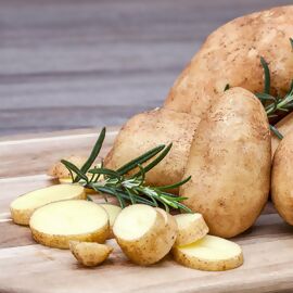 Kartoffelpflanze Adessa® Protect 