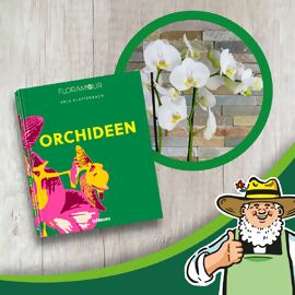 Set Orchideen Buch und Orchidee, weiß 