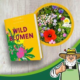 Set Wildblumen Buch und Saatgut 