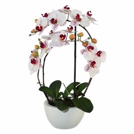 Kunstpflanze Phalaenopsis 3D-print im Keramiktopf, 52 cm, rosa 