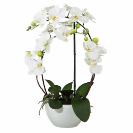 Kunstpflanze Phalaenopsis 3D-print im Keramiktopf, 52 cm, weiß 