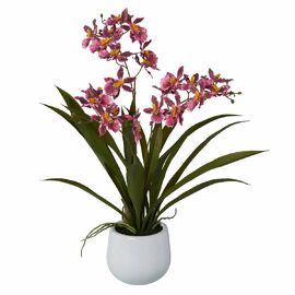 Kunstpflanze Cambria-Orchidee im Keramiktopf, 50 cm, dunkelrosa 