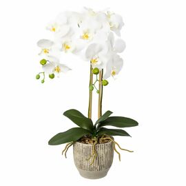 Kunstpflanze Phalaenopsis im Keramiktopf, 55 cm, weiß 