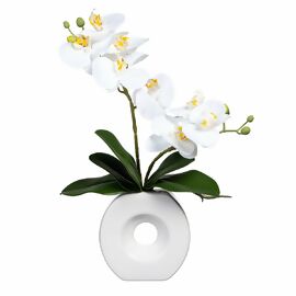 Kunstpflanze Phalaenopsis in Keramikvase, ca. 35 cm, weiß 