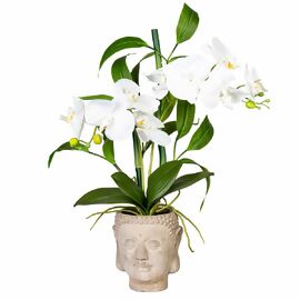 Kunstpflanze Orchideen-Arrangement  im Buddha Zementtopf, ca. 60 cm, weiß 