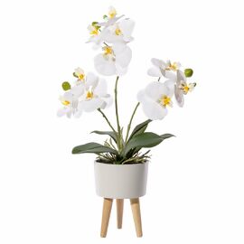 Kunstpflanze Phalaenopsis in Keramikschale, ca. 42 cm, weiß 