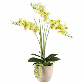 Kunstpflanze Orchideen-Arrangement im Zementtopf, ca. 55 cm, gelb 