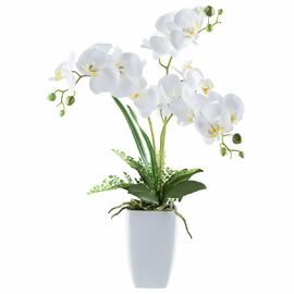 Kunstpflanze Phalaenopsis in Keramikvase, ca. 67 cm, weiß 