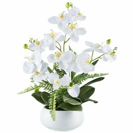 Kunstpflanze Phalaenopsis in Keramikschale,  ca. 55 cm, weiß 