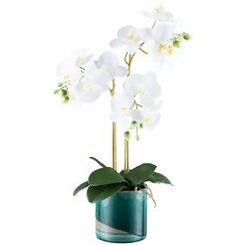 Kunstpflanze Phalaenopsis im Keramiktopf, ca. 54 cm, weiß 
